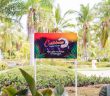 Caribbean Poker Party